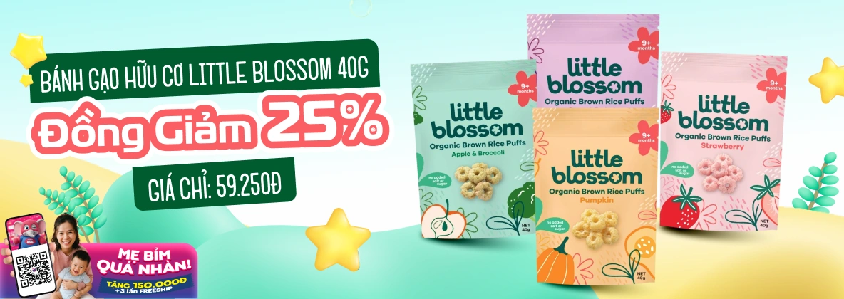 Bánh gạo hữu cơ LITTLE BLOSSOM 40G T4